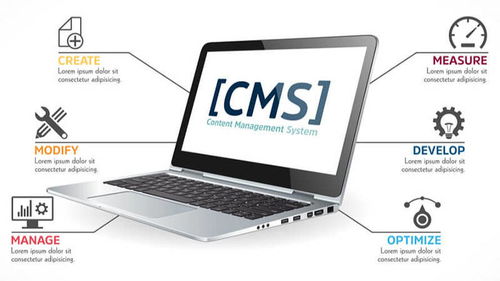 网站后台cms是成功网站建设的关键
