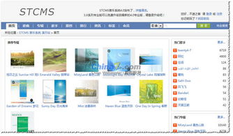 stcms点评 音乐网站应更注重分享与互动